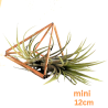 Tilla Pflanzenhalter/mini | Blanja Shop