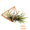 Tilla plant holder/mini