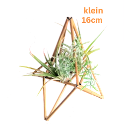 Tilla Pflanzenhalter/klein | Blanja Shop