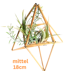 Tilla Pflanzenhalter/mittel | Blanja Shop