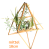 Tilla plant holder/medium