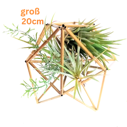 Tilla Pflanzenhalter/groß | Blanja Shop