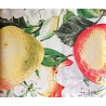 Geschirrtuch - Apfel | Blanja Shop