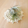 Untersetzer - Mais, rund, natur/klein | Blanja Shop