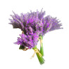 Lavendel, getrocknet im Bund | Blanja Shop