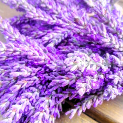 Lavendel, getrocknet im Bund | Blanja Shop