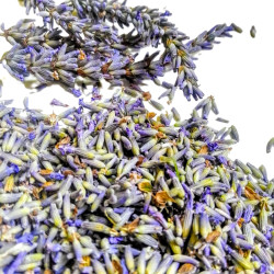 Lavendel, getrocknet im Bund | Blanja Shop